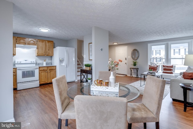 dining room featuring light hardwood / wood-style flooring and a textured ceiling