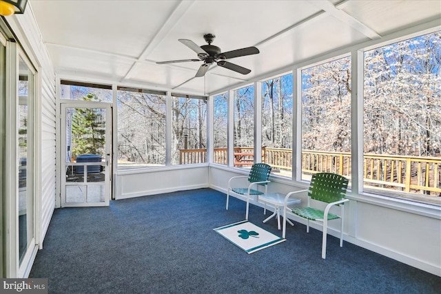 unfurnished sunroom with a ceiling fan