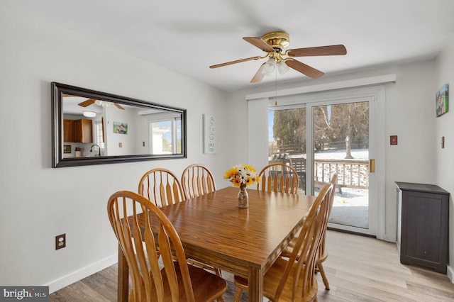 dining area with ceiling fan and light wood-type flooring