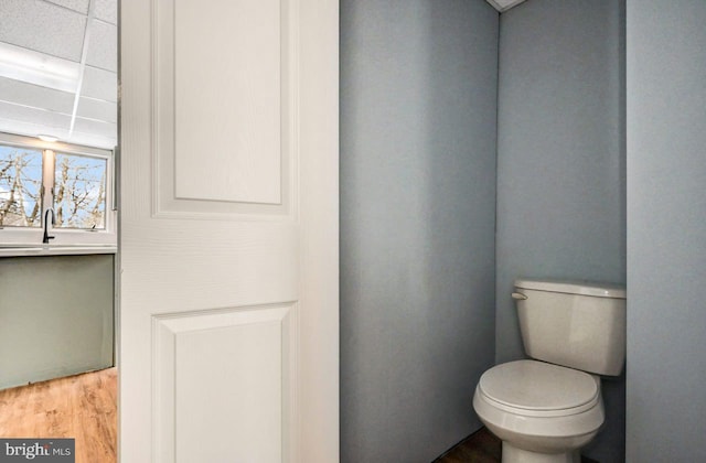 bathroom featuring wood-type flooring and toilet