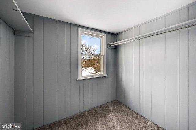 spacious closet with carpet flooring