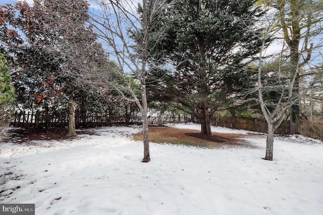 view of yard layered in snow