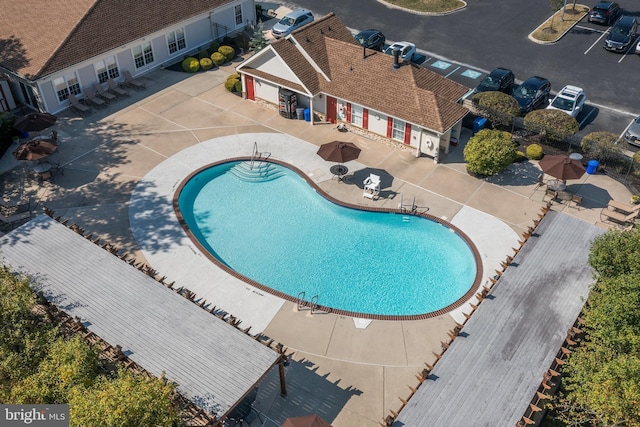 view of pool with a patio