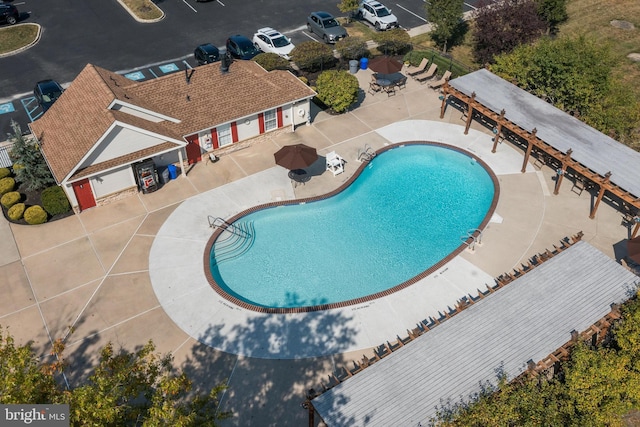 view of pool featuring a patio area