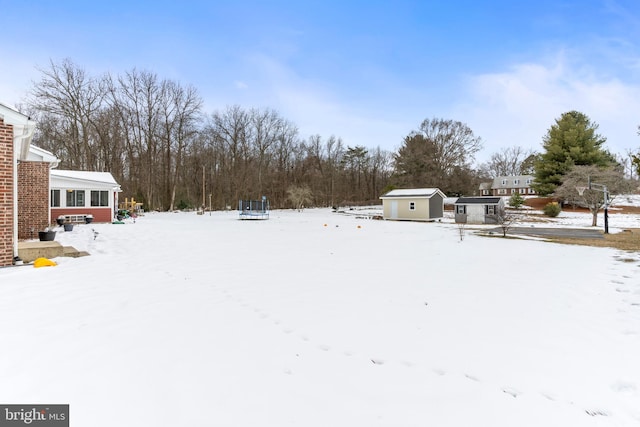 yard layered in snow with a storage shed and a trampoline