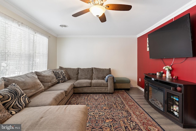 living room with ceiling fan, wood-type flooring, and ornamental molding