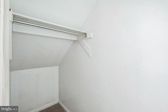 walk in closet featuring carpet floors