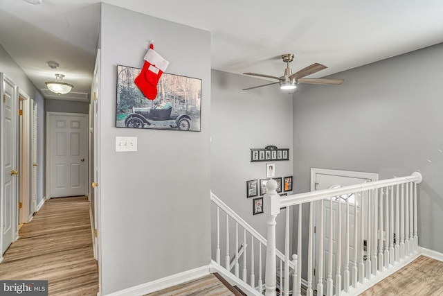 staircase featuring ceiling fan and hardwood / wood-style floors