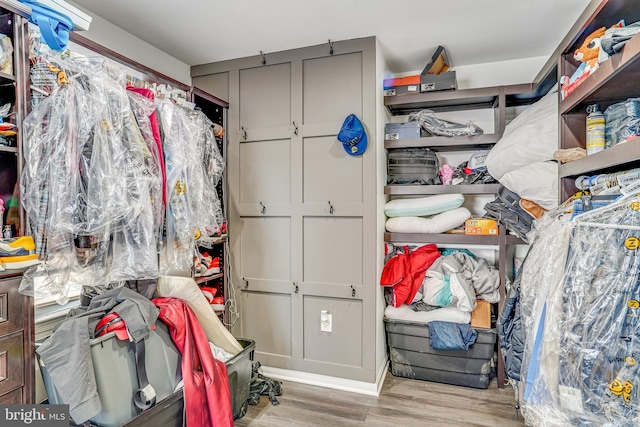 spacious closet with light hardwood / wood-style flooring