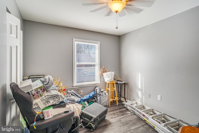 playroom featuring ceiling fan and hardwood / wood-style floors