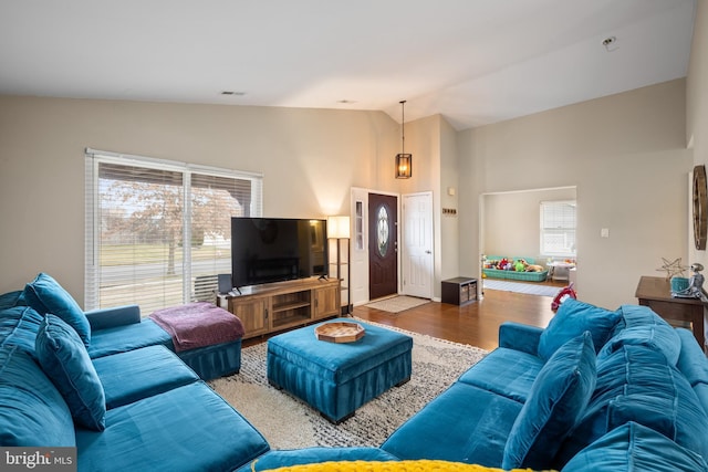 living room with hardwood / wood-style flooring, vaulted ceiling, and plenty of natural light