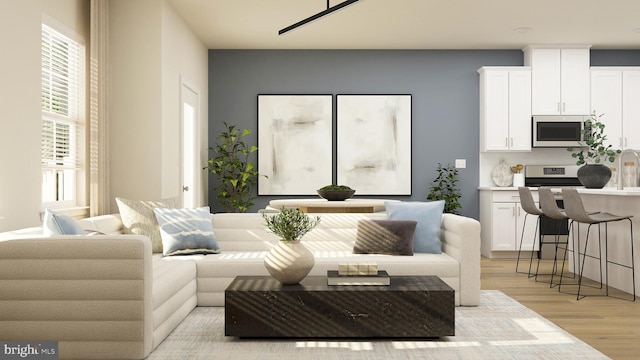 living room featuring light hardwood / wood-style flooring