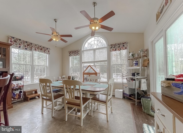 dining space featuring lofted ceiling and a wealth of natural light