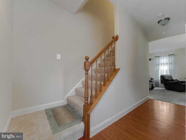 stairs with hardwood / wood-style flooring