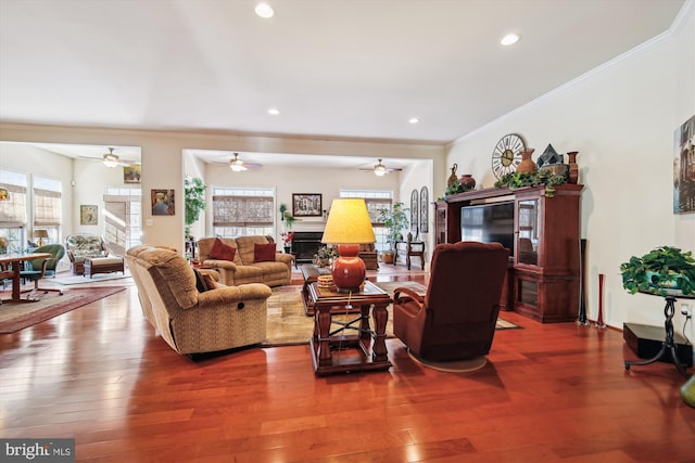 living room featuring ceiling fan, crown molding, and wood-type flooring