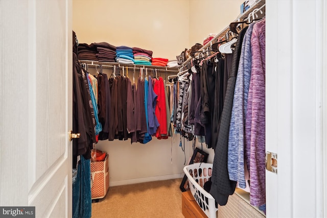 spacious closet with light colored carpet