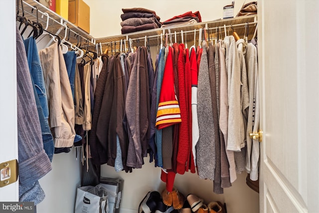 view of spacious closet