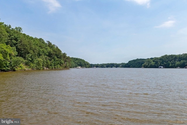 view of water feature