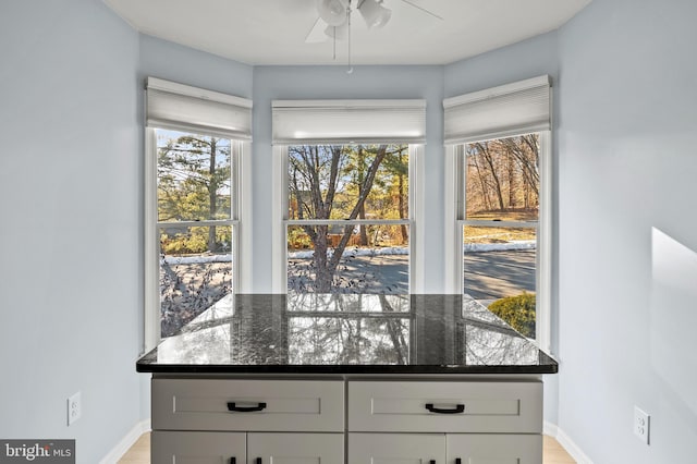 interior details featuring ceiling fan