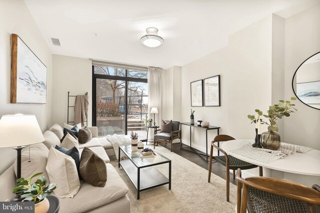 living room with a wall of windows and wood-type flooring