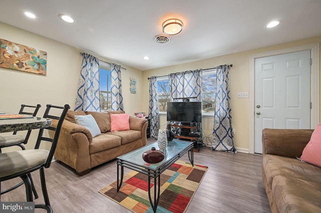 living room with hardwood / wood-style floors