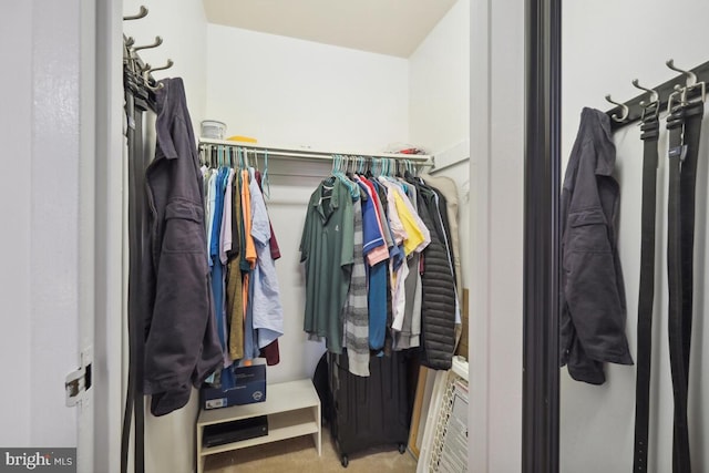 view of walk in closet