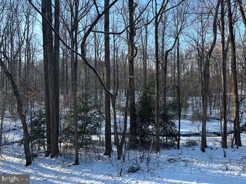 view of snowy landscape