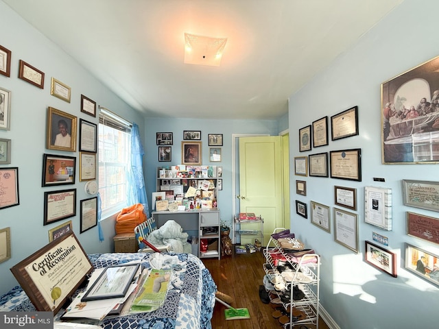 office featuring dark hardwood / wood-style flooring