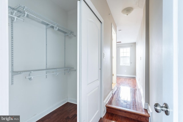 interior space with dark hardwood / wood-style floors