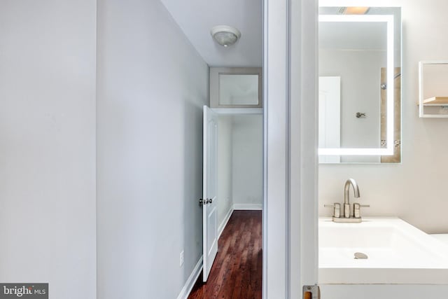 bathroom featuring sink and wood-type flooring