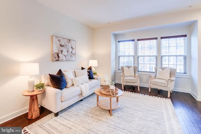 living room featuring hardwood / wood-style flooring