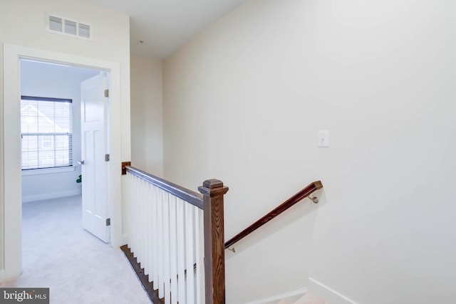 staircase with carpet flooring