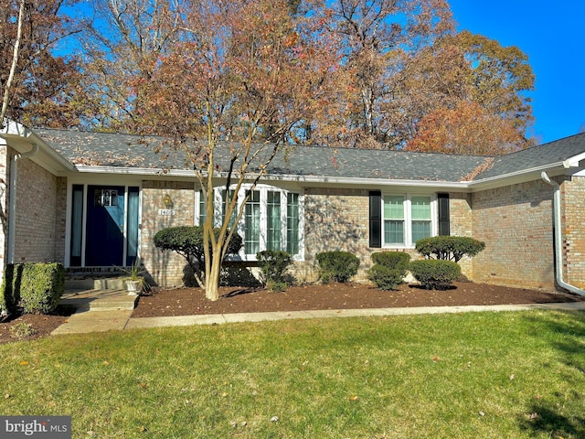 ranch-style house featuring a front yard