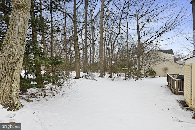 view of yard layered in snow