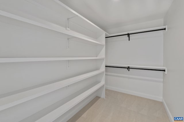 spacious closet with light carpet