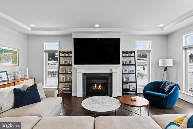 1335 Ashton Rd, Mechanicsburg, PA 17055 - living area featuring a glass covered fireplace, recessed lighting, a tray ceiling, and hardwood / wood-style floors