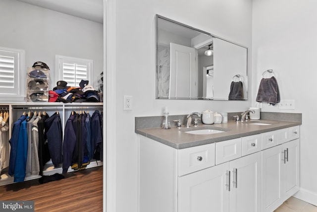 1335 Ashton Rd, Mechanicsburg, PA 17055 - bathroom featuring wood finished floors, double vanity, a sink, and a spacious closet