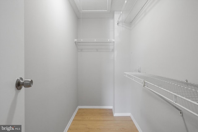 spacious closet with light wood-type flooring