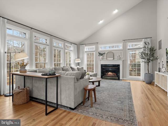 living room featuring light wood-style floors, a premium fireplace, and a wealth of natural light