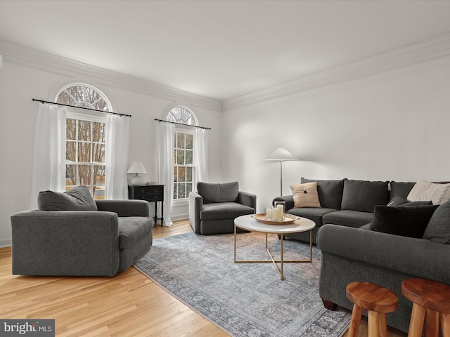 living room featuring ornamental molding and wood finished floors