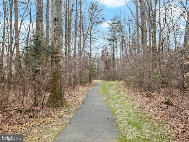 view of road with a forest view