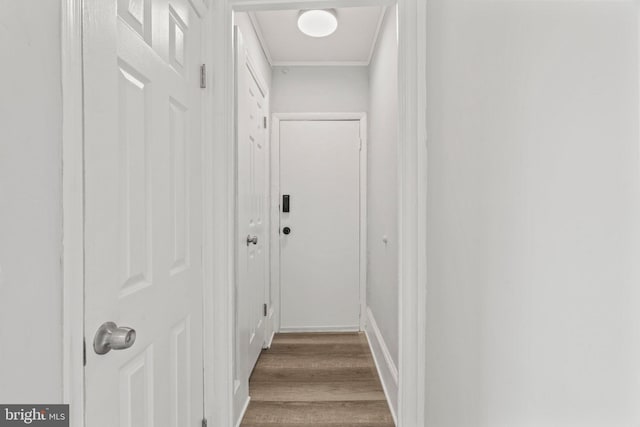 corridor with light hardwood / wood-style flooring and crown molding