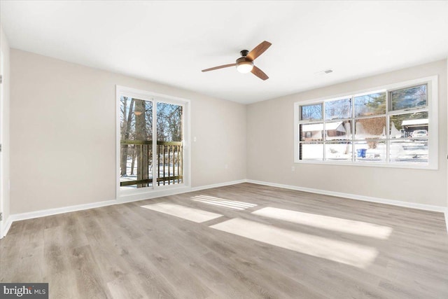 empty room with plenty of natural light, light hardwood / wood-style flooring, and ceiling fan