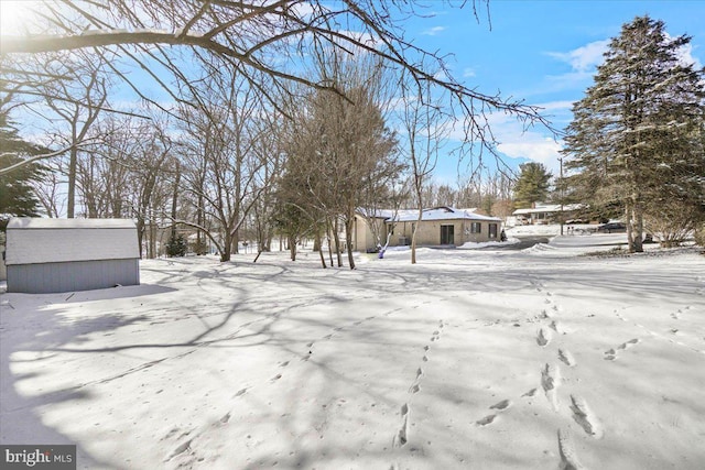 view of yard covered in snow