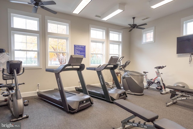 exercise room featuring ceiling fan and a wealth of natural light