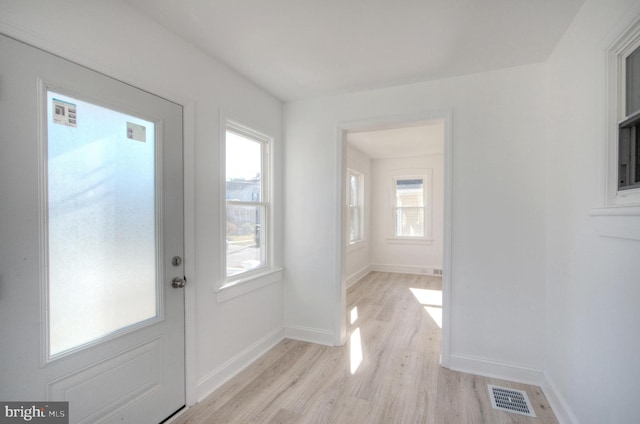 entrance foyer featuring a healthy amount of sunlight and light hardwood / wood-style flooring