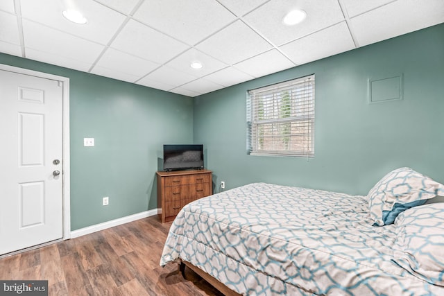 bedroom featuring hardwood / wood-style flooring and a paneled ceiling