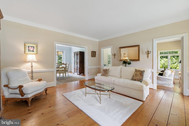 living room featuring ornamental molding and light wood-type flooring