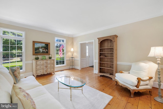 living room featuring ornamental molding and light wood-type flooring