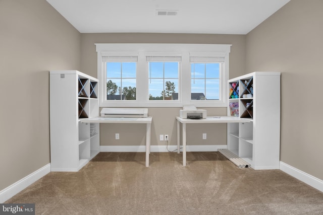 unfurnished office featuring a healthy amount of sunlight and carpet flooring